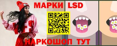 гашик Будённовск