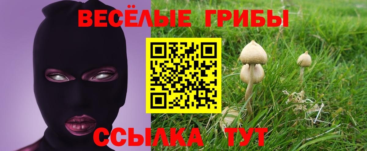 наркотики  Галлюциногенные грибы прущие грибы  Вход с VPN  Серов  Галлюциногенные грибы мухоморы 